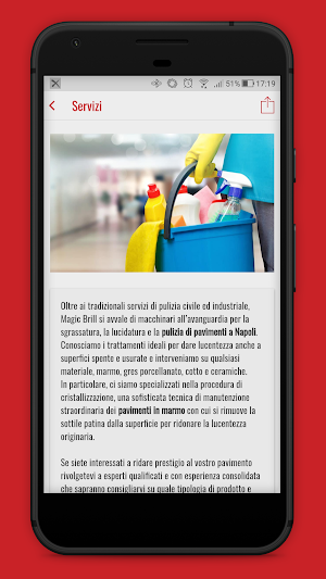 Magic Brill - Impresa di puliz Screenshot 2