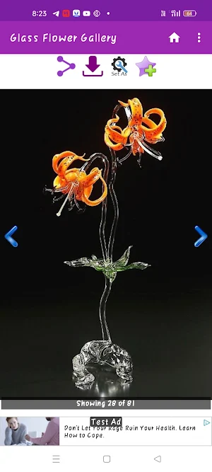 Glass Flower Gallery Screenshot 2