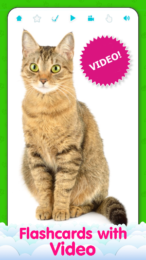 English Flashcards For Kids Screenshot 1