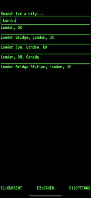 WeatherOS Screenshot 2