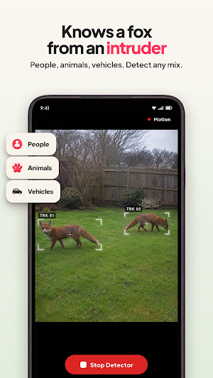Intrude: Motion Detection Cam Screenshot 3