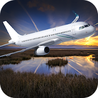 3D flight Simulator
