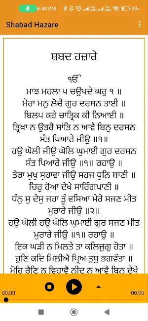 Shabad Hazare Screenshot 0
