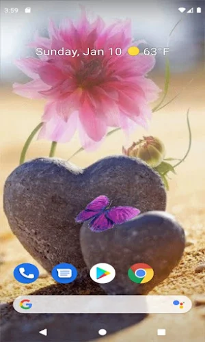 Stony Hearts Flower LWP Screenshot 2