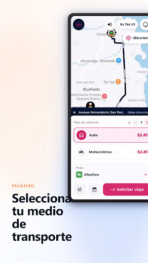 BRIO Screenshot 1