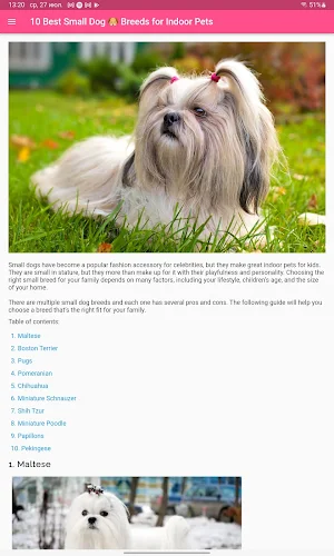 Small Dog Breeds Screenshot 3