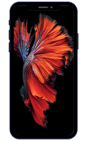 Goldfish Wallpapers Screenshot 0