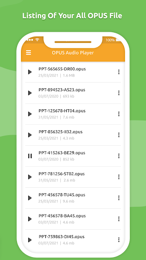 Opus Audio Player - Play Audio & Manage for WA Screenshot 1
