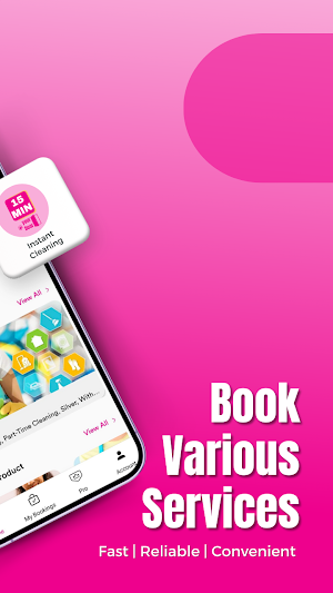 maidsfactory.com Screenshot 2