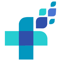 HealthFlow