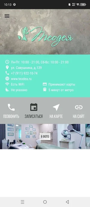 Теодея Screenshot 0