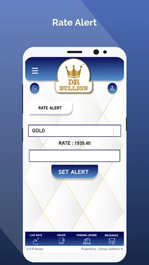 DR Bullion Screenshot 2