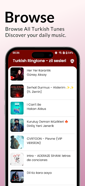 Turkish Ringtones: zil sesleri Screenshot 3