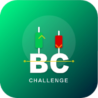 Binary Challenge: Trader