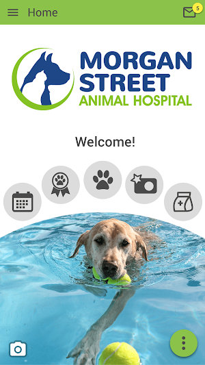 Morgan Street Animal Hospital Screenshot 0