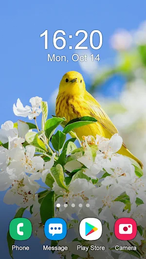 Spring Wallpaper 2024 Screenshot 2