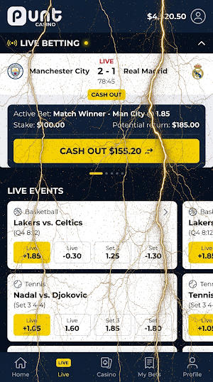 Punt Casino Screenshot 2