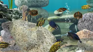 Fish Farm 3 - 3D Aquarium Simulator Screenshot 1