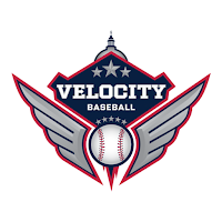 Velocity Baseball