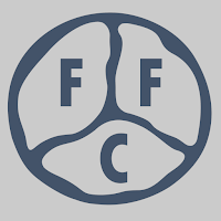 FFC-TAVI Score