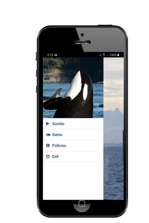 Orca Sound Screenshot 1
