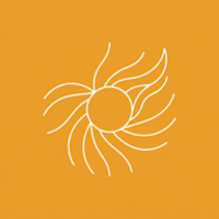 Solar Flare Flux