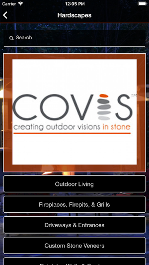 Covis Stone Screenshot 3