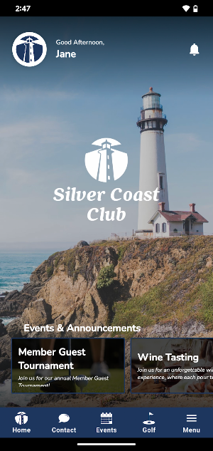 Silver Coast Screenshot 0