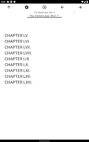 Book, The Gilded Age, Part 7. Screenshot 2