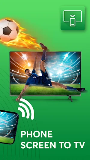 Screen Mirroring - Chromecast Screenshot 1