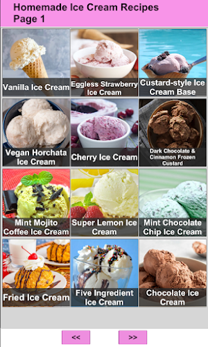 Homemade Ice Cream Recipes Screenshot 0