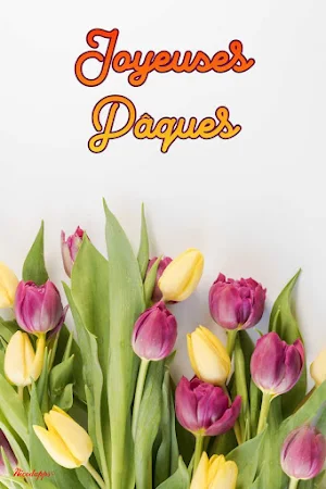 Joyeuses Pâques Photos Screenshot 3