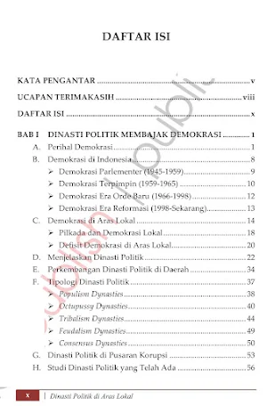 Dinasti Politik Di Aras Lokal Screenshot 1