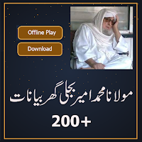 Maulana Muhammad Amir Bijligar