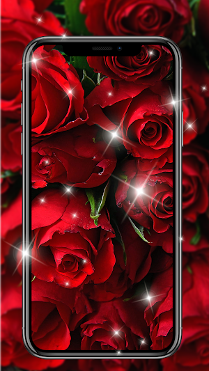 Red Rose Live Wallpapers HD Screenshot 3