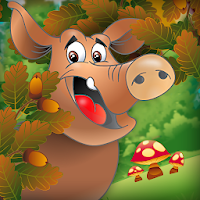 Animals Around the World Free