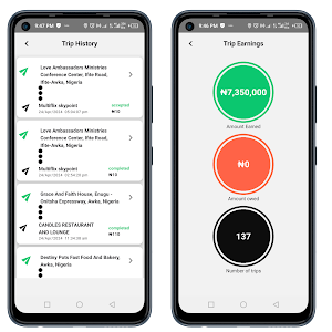 Flash Driver Screenshot 2