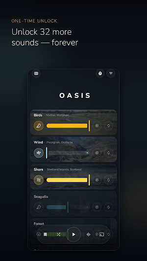 Oasis: Nature Sound Mixer Screenshot 1