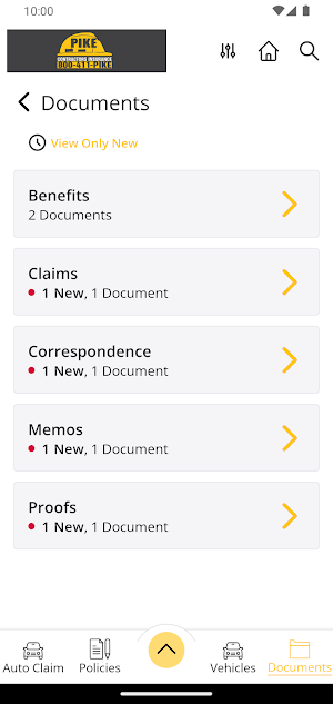 Pike Insurance Services Online Screenshot 2