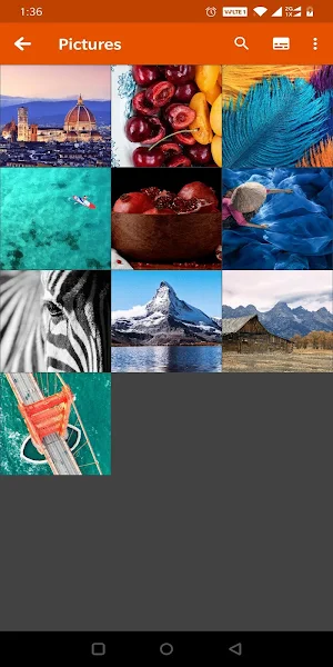 Lite Gallery Screenshot 1