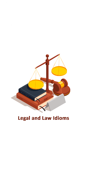Legal and Law Idioms Screenshot 1