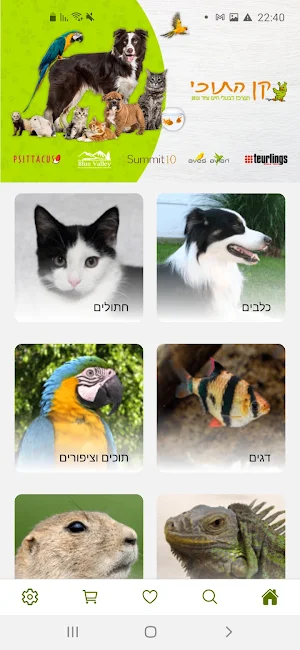 קן התוכי Screenshot 0