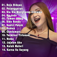 Bojo Biduan - Shinta Arsinta