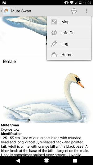 eGuide to British Birds Screenshot 2