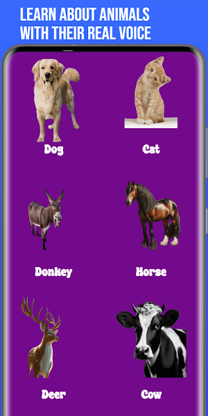 PlayKids: ABC & Fun Learning Screenshot 3