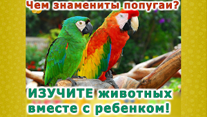 Животные для детей и малышей: обучающие карточки Screenshot 2