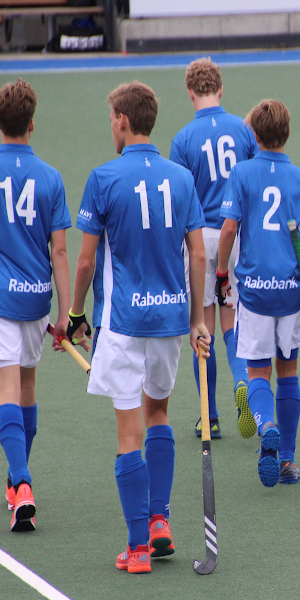 Kampong Hockey Screenshot 0