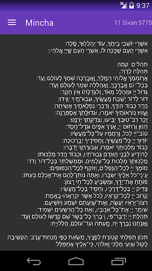Eli's Bar Mitzvah Screenshot 0