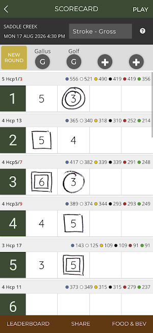 Saddle Creek Golf Club Screenshot 1