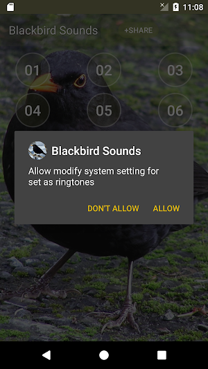 Black Bird Call Sounds Screenshot 2